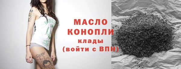 Альфа ПВП Инта