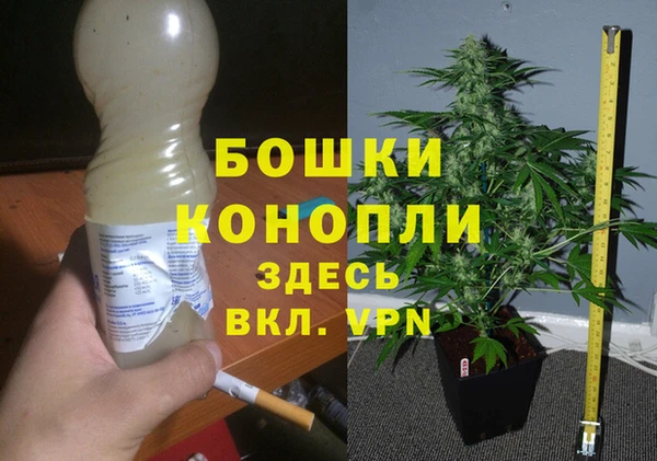Альфа ПВП Инта