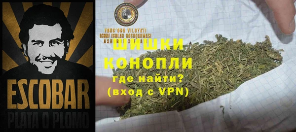 Альфа ПВП Инта