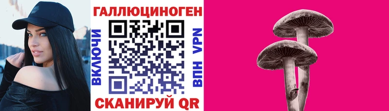 Псилоцибиновые грибы Magic Shrooms  где продают наркотики  Кингисепп 